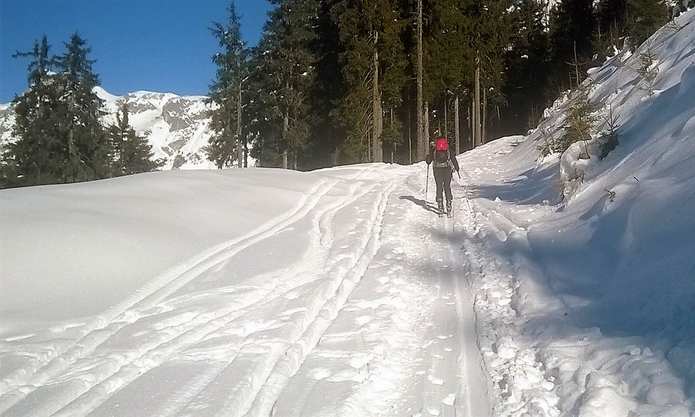 Skitour Bischling