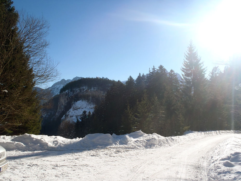 Bergbundfasching