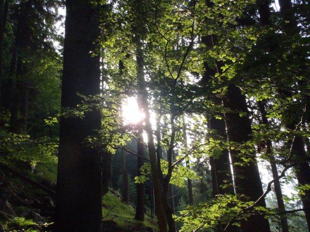 Bergtour Staufen