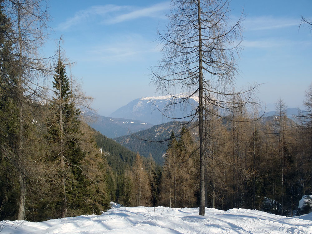 Skitour Watzmankar