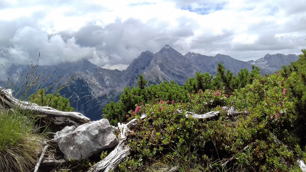 Bergtour Edelweißlahner