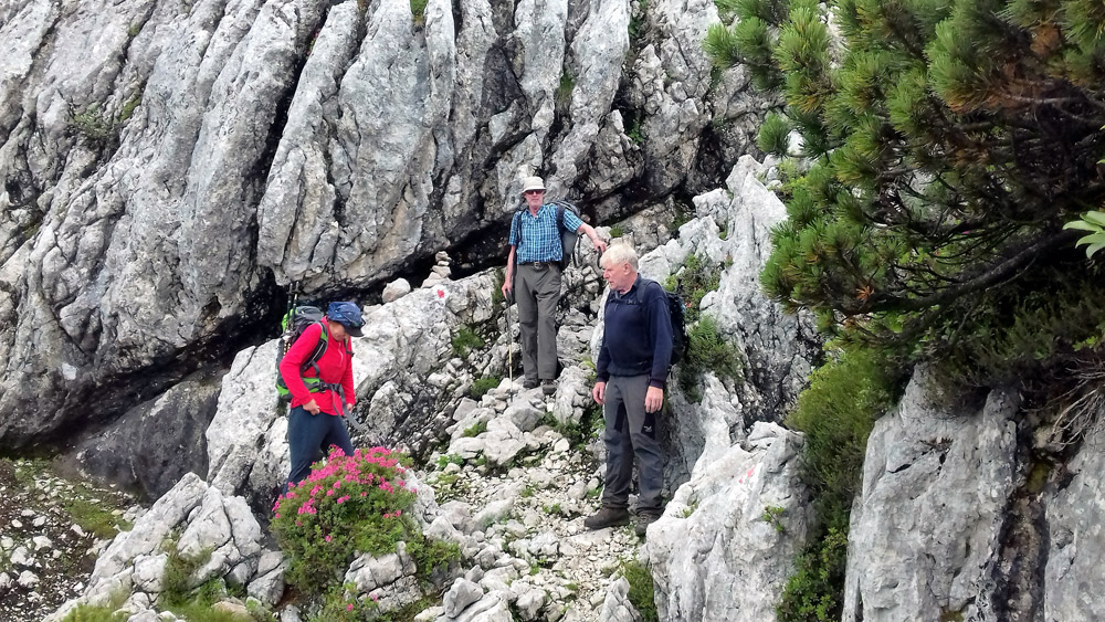 Bergtour Edelweißlahner