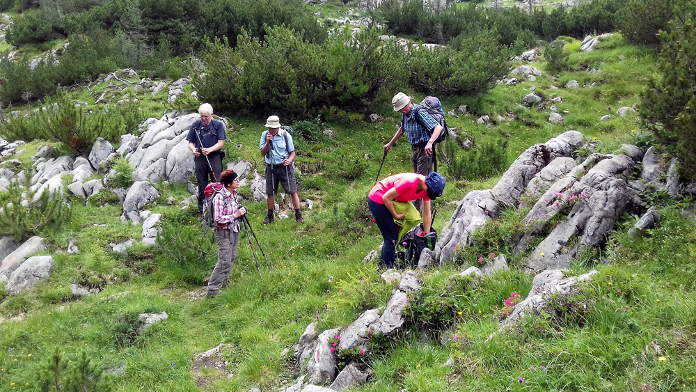 Bergtour Edelweißlahner