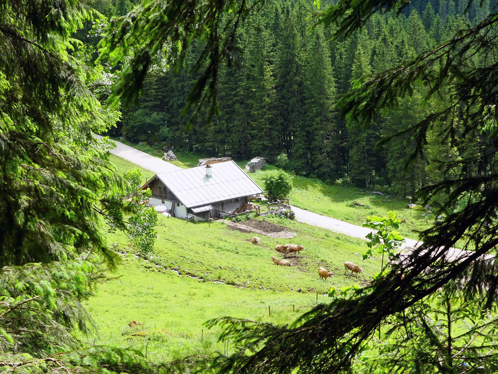 Familientour Grünsteinhütte