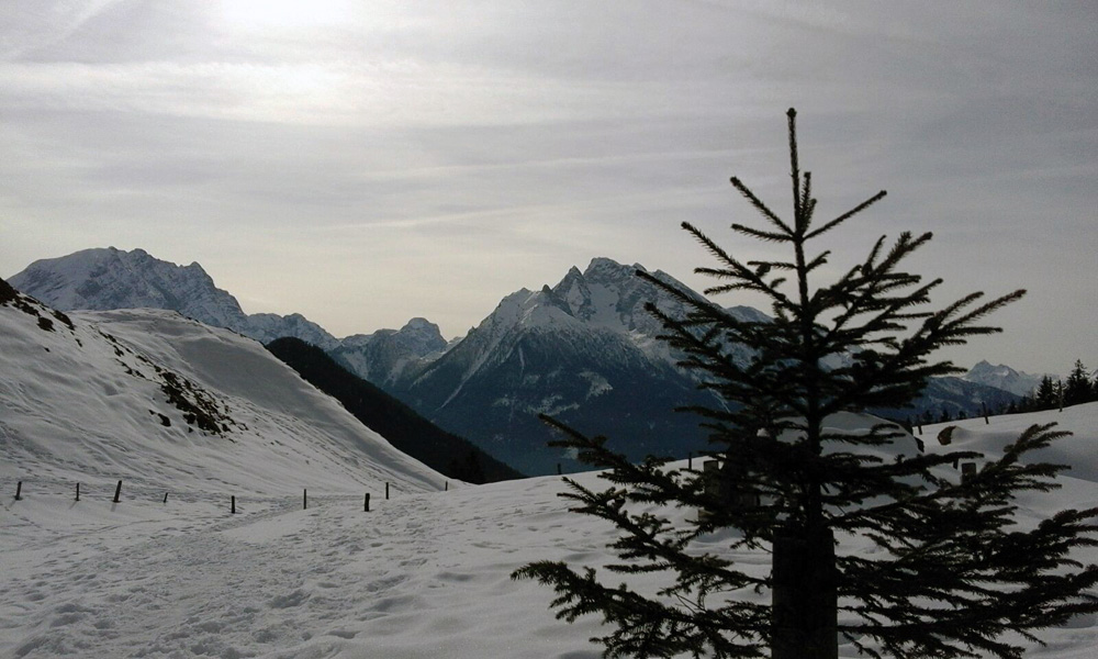 Schneeschuhtour Mordau Alm