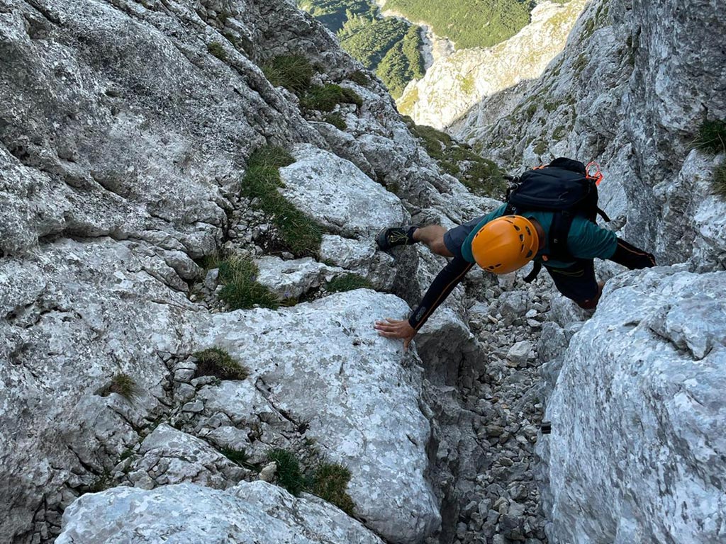 Zeller Führe am Wagendrischelhorn